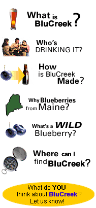  BluCreek Blueberry Ale - Menu